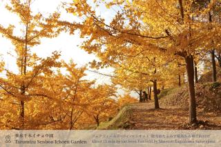 Fairfield by Marriott Kagoshima Sakurajima - 4
