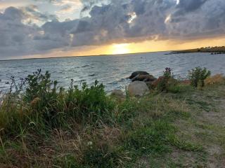 4 star holiday home in Hemmet - 5
