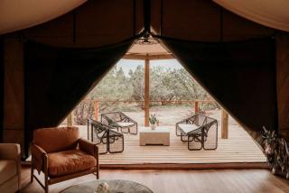 Luxury Glamping with Tub and Outdoor Shower in Johnson City, Texas - 3