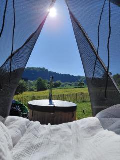 Au repos du verger - 5
