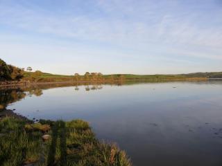 Scenic Glamping Hut with Sustainable Biodiversity Habitat Near Shannon Estuary in County Clare, Ireland - 9