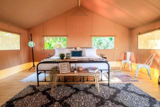 Luxurious Deluxe Safari Tent with King Bed and Outdoor Fire Pit in Bradenton, Florida - 3