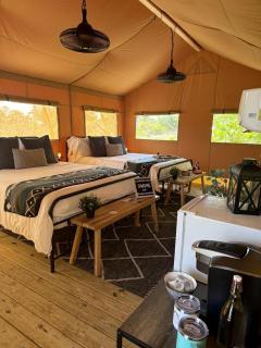Comfortable Double Safari Tent Near Jonathan Dickinson State Park in Hobe Sound, FL - 4