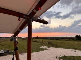 Double Deluxe Safari Tent with Fire Pit and Hammocks in Basinger, Florida - 5