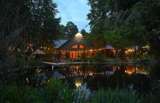 Serene Glamping Cabin with Luxury Bedding Near Finger Lakes in Ithaca, New York - 3