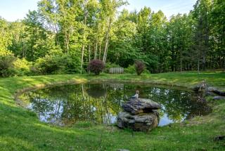 Rustic Retreat with Private Pond, Gazebo & Creek in Andes, New York - 2