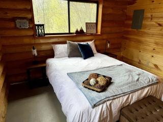 Historic Cabin with Lake Views, Fishing Dock & Loft in Swan Valley, Idaho - 6