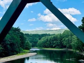 Peaceful Wilderness Cabin with Private Streamside Setting Near Townshend, Vermont - 5