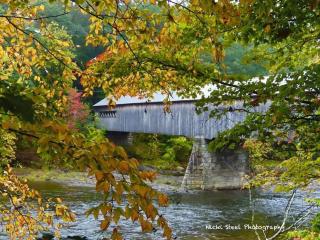 Scenic Off-Grid Cabin Campsite with Brookside Setting Near Townshend, Vermont - 3