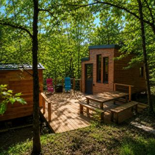 Tiny house cosy au cœur des bois - 8
