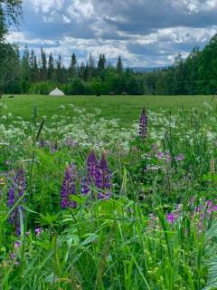 Ember | A Luxury Wilderness Retreat - 8