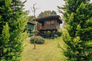 Dedeman Village Sapanca - Sakarya - 8