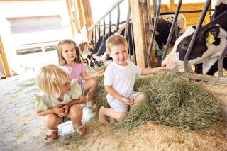 Erlebnishof Eble Doppelzimmer mit hellem Bad - 1