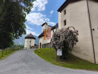 Sonniges Appartement und Gästezimmer, Haus Borowiec -  - 8