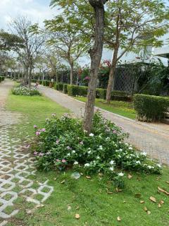 VAH Villa Long Hải - 1