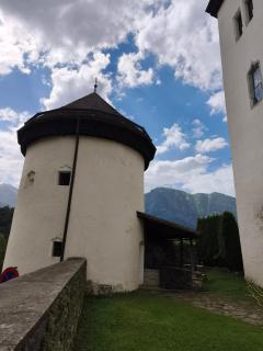 Sonniges Appartement und Gästezimmer, Haus Borowiec -  - 5