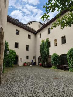 Sonniges Appartement und Gästezimmer, Haus Borowiec -  - 4