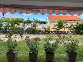 Casa Maslina - 1 - 1
