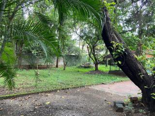 Kalliyattu homestay - 8