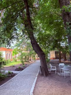 Alex Hotel - 7