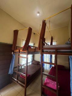 Family Hostel Lovina - 6