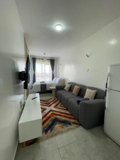 Aster Superior Studio Apartment - 2