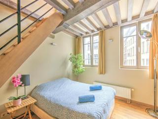 Temple Triplex Spacious Apartment - Antwerp - 2