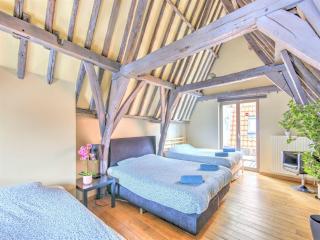 Temple Triplex Spacious Apartment - Antwerp - 4