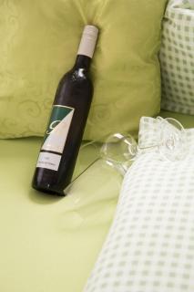 Obst- und Weinbauernhof BERNHARD - Leutschach - 2