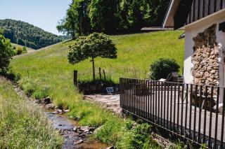 Idyllisch gelegenes Ferienhaus AM BAECHLE HOST100 direkt an romantischem Bergbach gelegen - 3