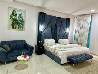 Ola luxurious home - 2
