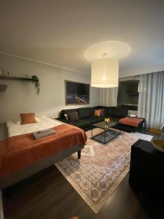 Apartment in the heart of the city of Rovaniemi - 0