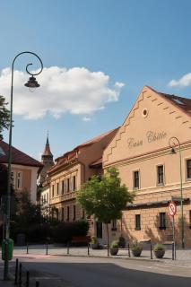 Casa Chitic Hotels - 9
