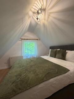 Ungefug A-Frame Sighisoara - 6