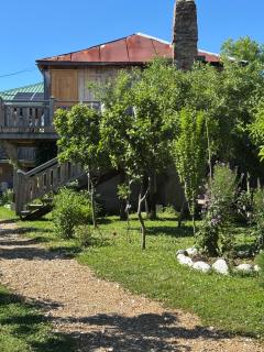 Eco-friendly Guesthouse Tea Gezruli 25 km from Chiatura - 7