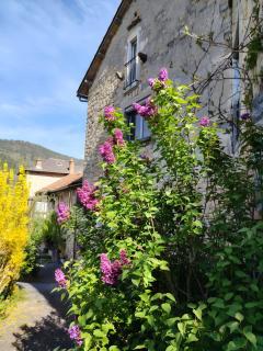 Au Bord Du Tarn - 8