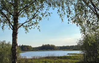 3 Bedroom Beautiful Home In Vissefjärda - 7