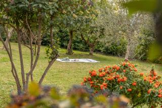 Villa Orizzonte - 8