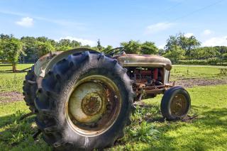 Berrywood Farm - 1