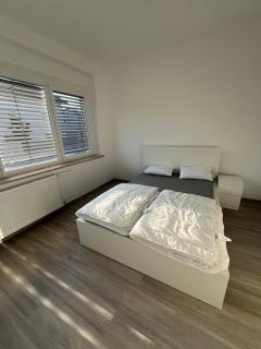 Kolarjeva International House - 7