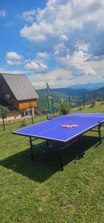 Mountain House Bošković - 8