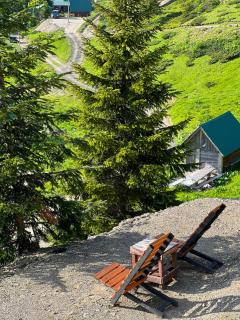 Komovi Luxury House - Andrijevica - 5