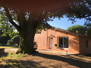 Maison Maguiga avec piscine - 7