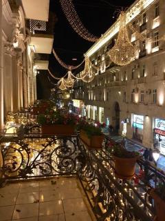 Stunnig flat on Nizami street, Torgovaya - 5