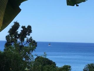 L'ecrin Charming lodge with superb sea view - 8