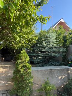 Arvilla - 2