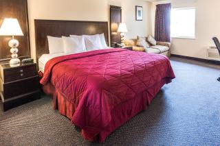 Cedars Inn - 9