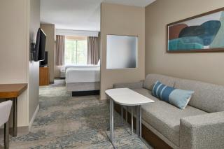 SpringHill Suites by Marriott Atlanta Alpharetta - 6