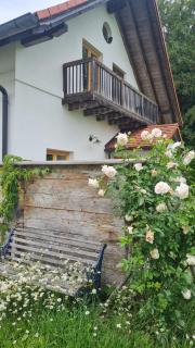 Helles Landhaus auf Waldlichtung - 8