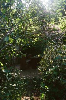 The Magicians House - 3